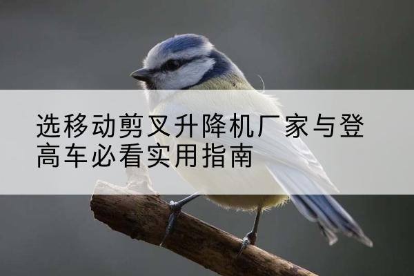 门头沟区电动升降机厂家-选移动剪叉升降机厂家与登高车必看实用指南