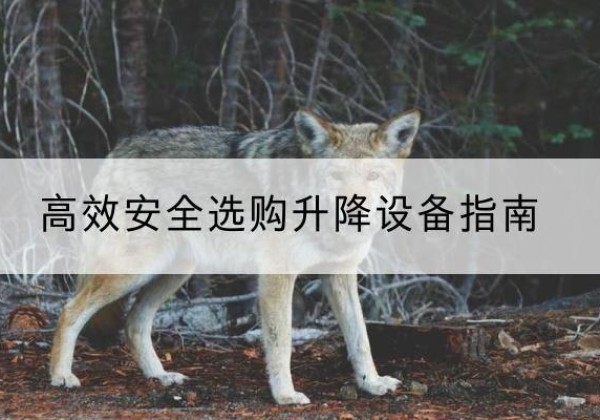 门头沟区升降货梯厂家推荐-*安全选购升降设备指南